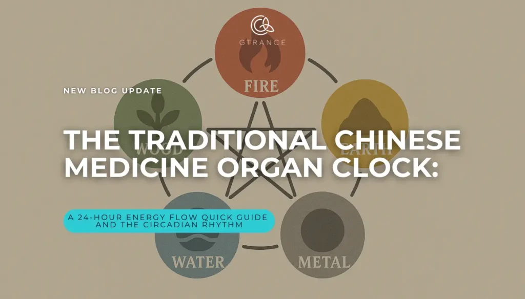The Traditional Chinese Medicine Organ Clock