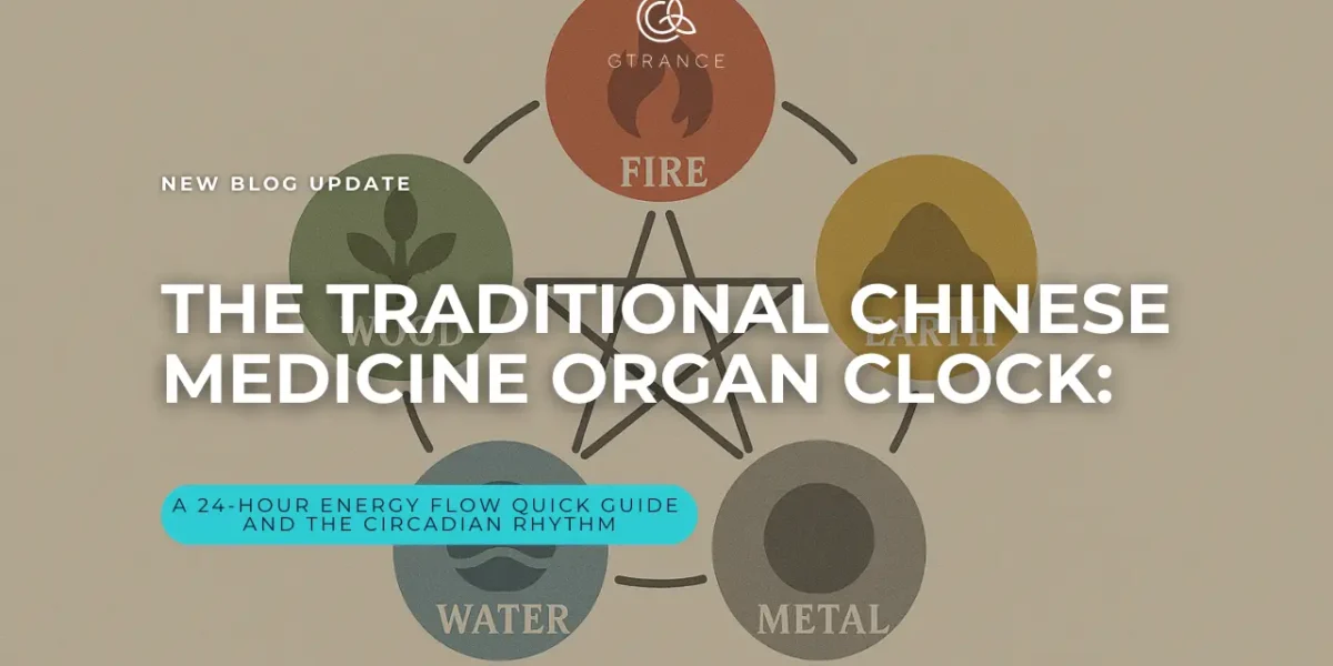 The Traditional Chinese Medicine Organ Clock